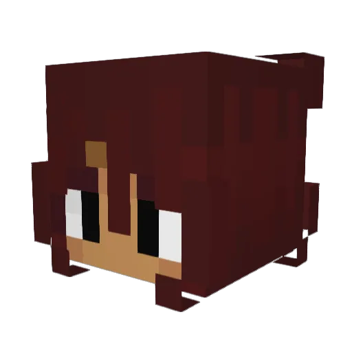 _sleepysher Minecraft avatar head, 3D render
