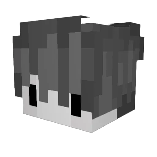 _smo1 Minecraft avatar head, 3D render