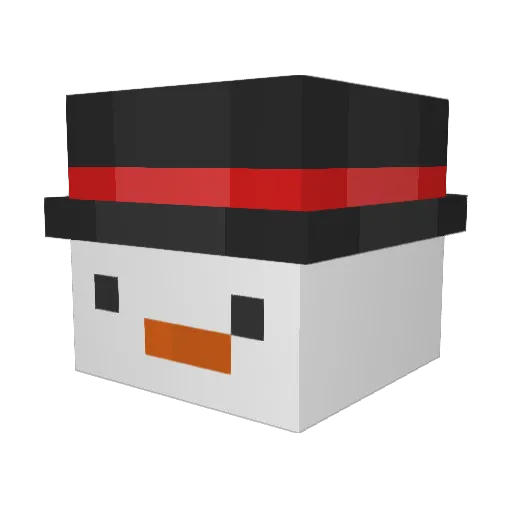 _snowguy Minecraft avatar head, 3D render