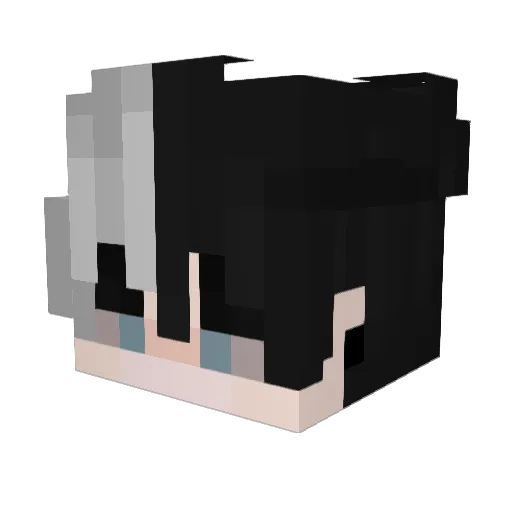 _snowsytche_ Minecraft avatar head, 3D render
