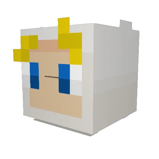 _sockbird_ Minecraft avatar head, 3D render