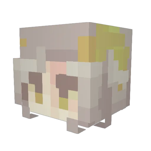 _sora0505 Minecraft avatar head, 3D render