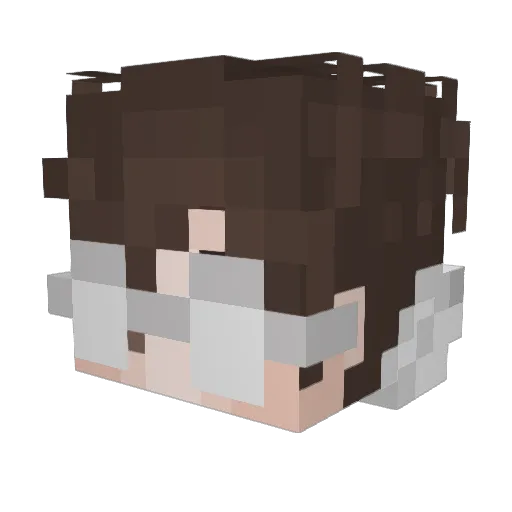 _space0 Minecraft avatar head, 3D render