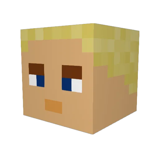 _spleshy_ Minecraft avatar head, 3D render
