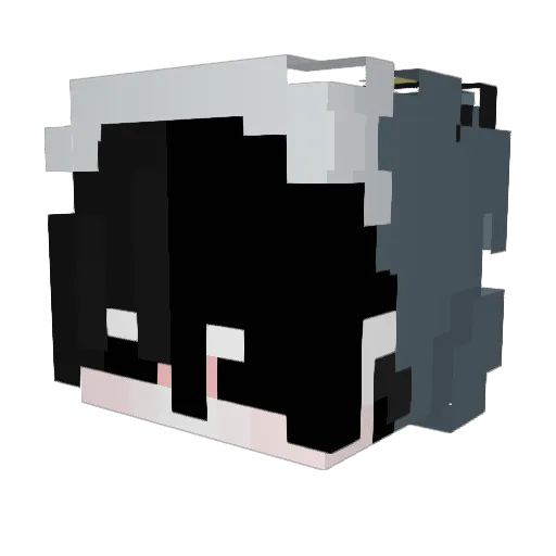 _sshade Minecraft avatar head, 3D render