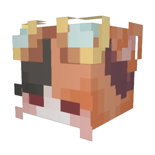 _star_galaxy Minecraft avatar head, 3D render