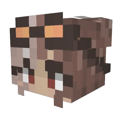 _stellarlys Minecraft avatar head, 3D render