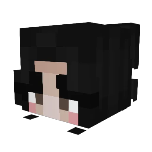 _stephasaurus_ Minecraft avatar head, 3D render