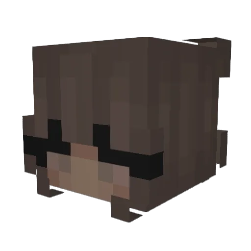 _stmg Minecraft avatar head, 3D render