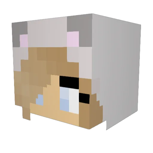 _sunflowersluz Minecraft avatar head, 3D render