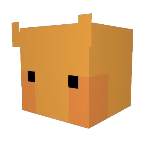 _suns Minecraft avatar head, 3D render