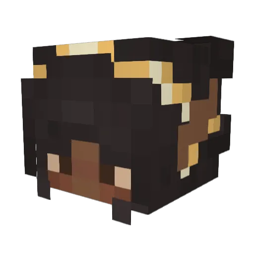 _sushirollin_ Minecraft avatar head, 3D render
