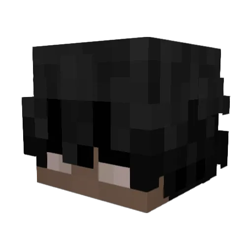 _susz_ Minecraft avatar head, 3D render