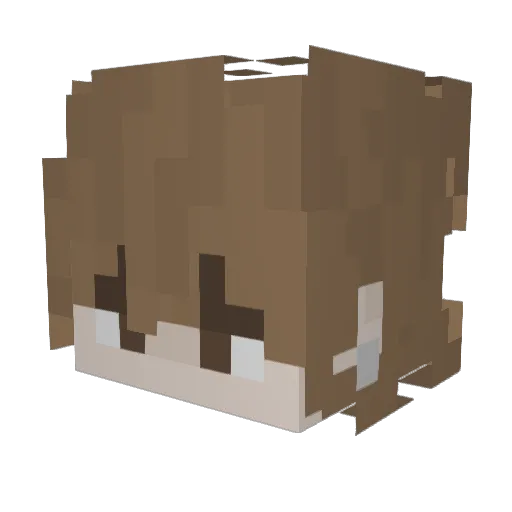 _sv_27 Minecraft avatar head, 3D render