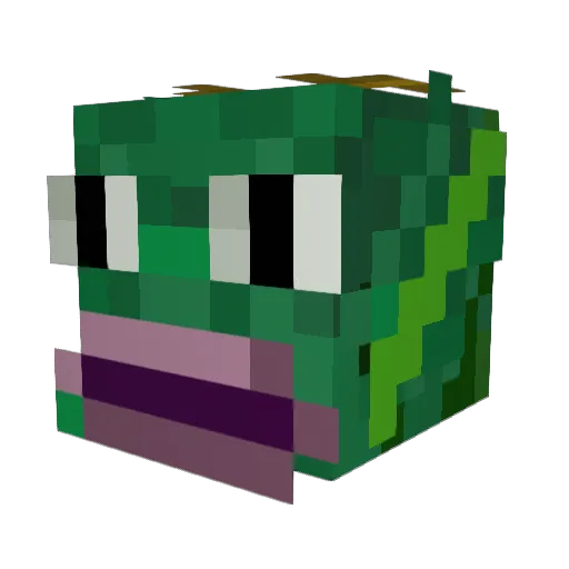 Minecraft-Avatar von _swampdaddy: Kopf als 3D-Render