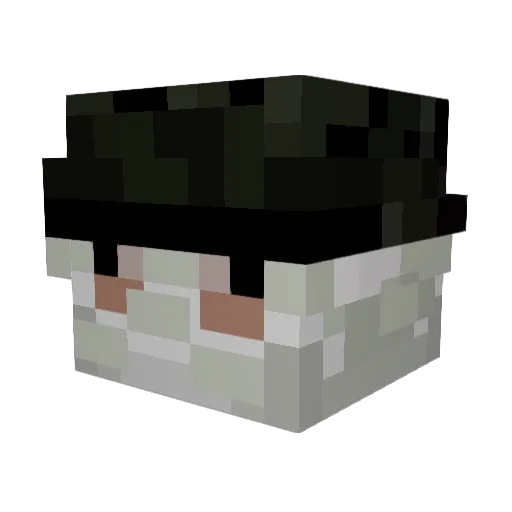 _swen_ Minecraft avatar head, 3D render