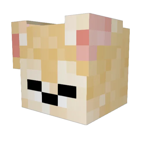 _t0mmYY Minecraft avatar head, 3D render
