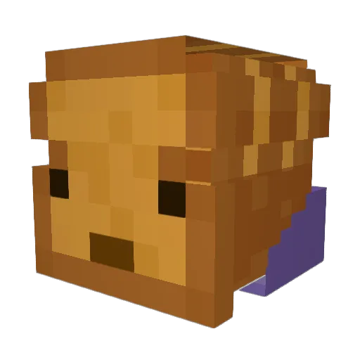 _t_o_a_s_t_ Minecraft avatar head, 3D render