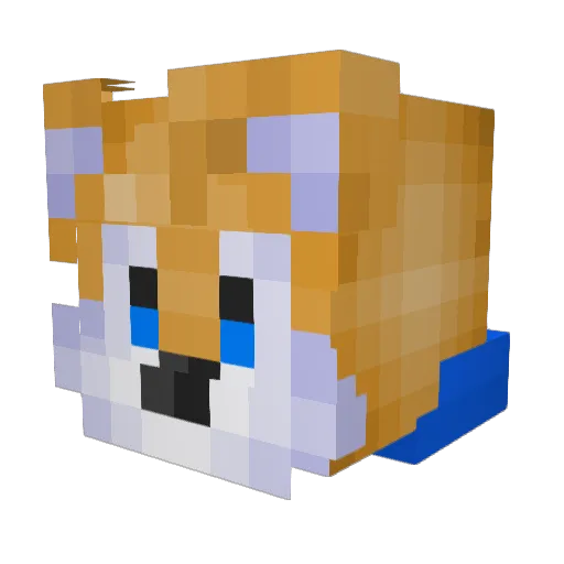 _tailsxz_ Minecraft avatar head, 3D render