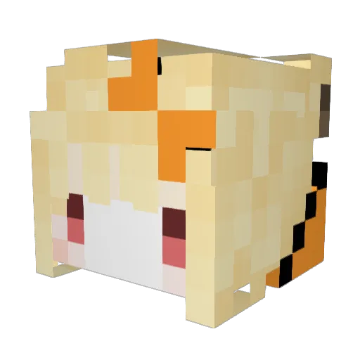 _tamaru Minecraft avatar head, 3D render