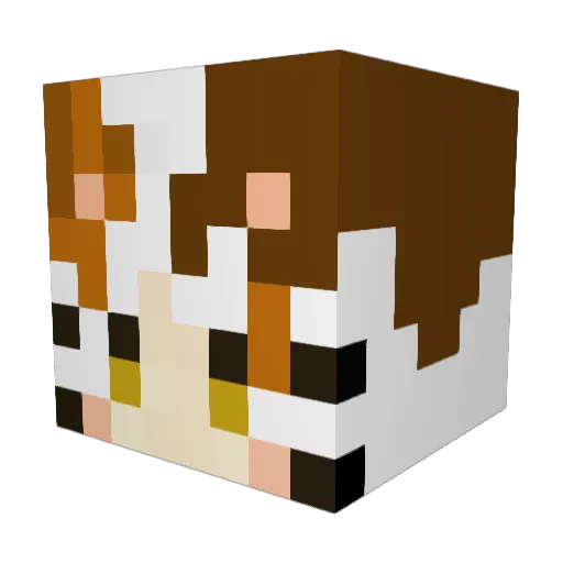 _tatamaru Minecraft avatar head, 3D render