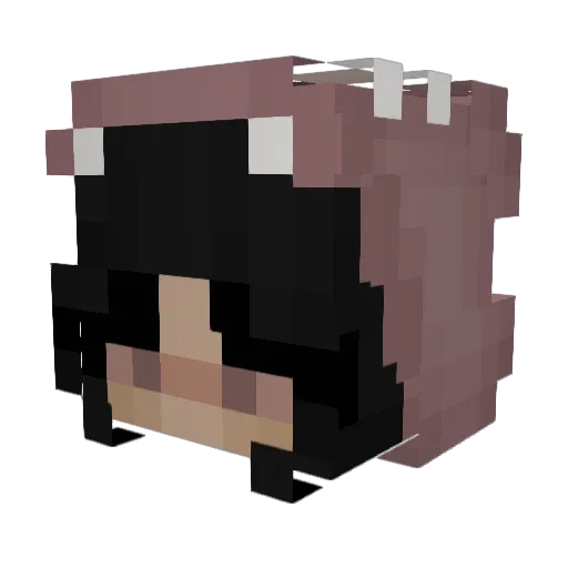 _tbxh Minecraft avatar head, 3D render