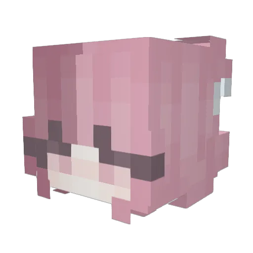 _teas_ Minecraft avatar head, 3D render