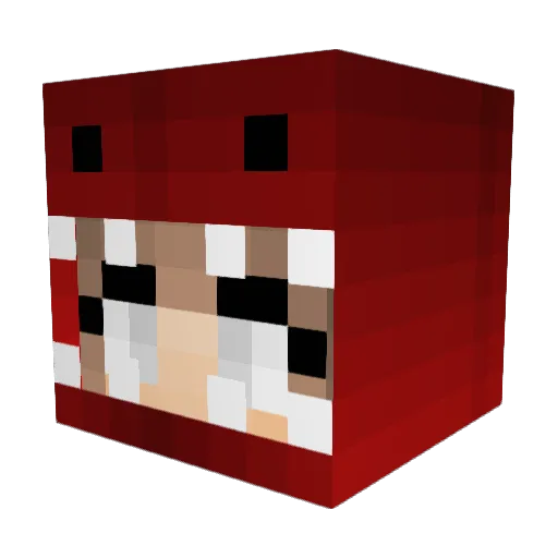 _tfz Minecraft avatar head, 3D render