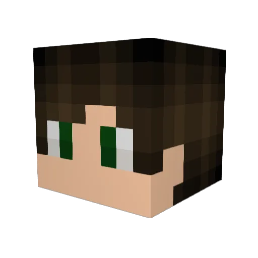 _theFlyingPanda_ Minecraft avatar head, 3D render
