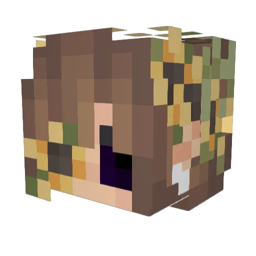 _theWeaver__ Minecraft avatar head, 3D render