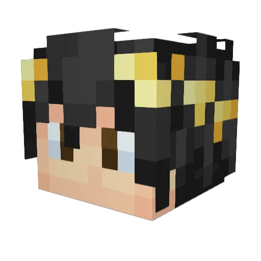 _thoni Minecraft avatar head, 3D render