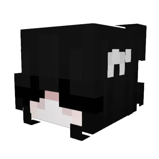 _tiina Minecraft avatar head, 3D render