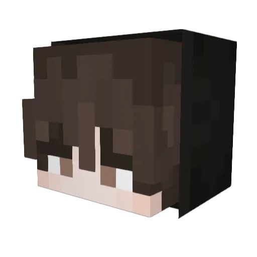 _tintinblock_ Minecraft avatar head, 3D render