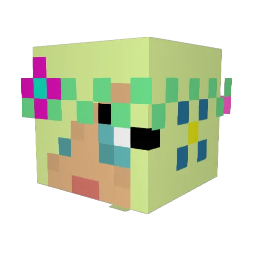 _tinydancer Minecraft avatar head, 3D render