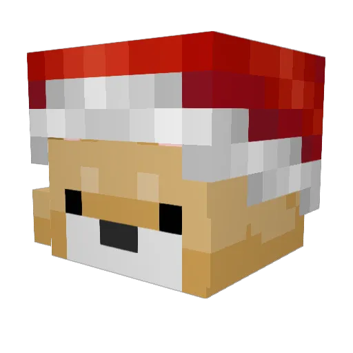 _tomatenmark3000 Minecraft avatar head, 3D render