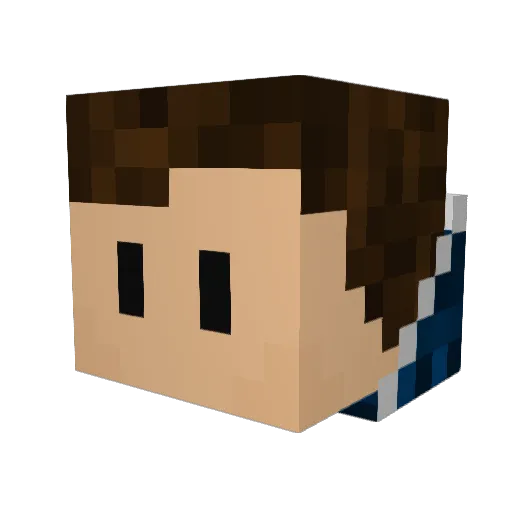 _tomx Minecraft avatar head, 3D render