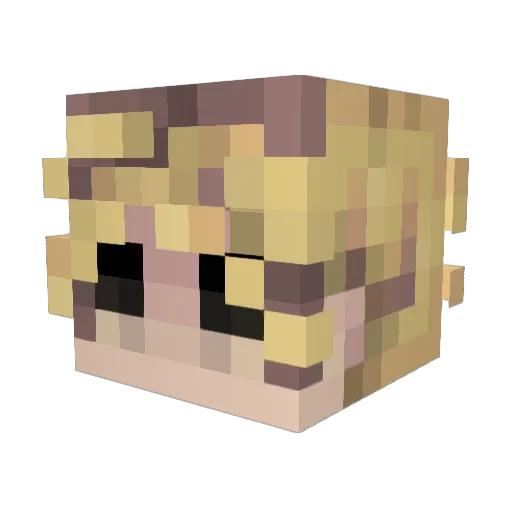 _tonsils Minecraft avatar head, 3D render