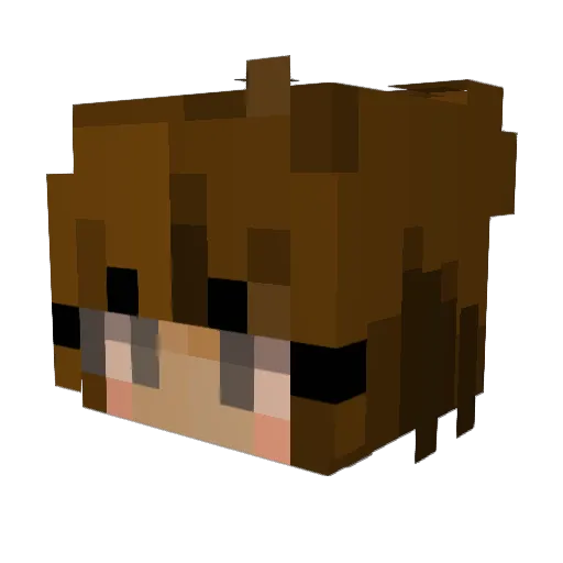 _toodlez Minecraft avatar head, 3D render