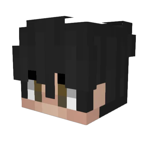 _trtl Minecraft avatar head, 3D render