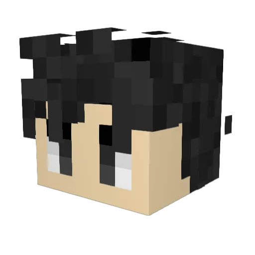 _truji_ Minecraft avatar head, 3D render