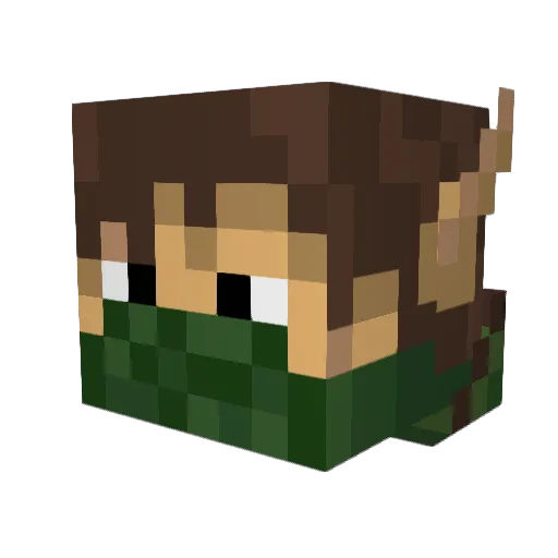 _txrtle_ Minecraft avatar head, 3D render