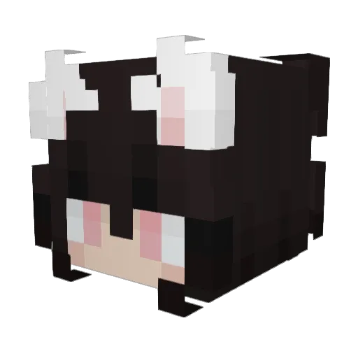 _tydia Minecraft avatar head, 3D render