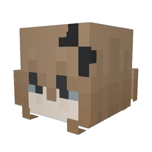 _uhfee Minecraft avatar head, 3D render