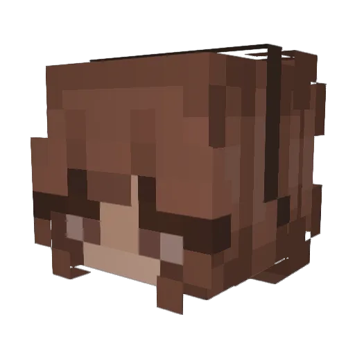 _v0ris_ Minecraft avatar head, 3D render