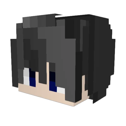 _vRain_ Minecraft avatar head, 3D render