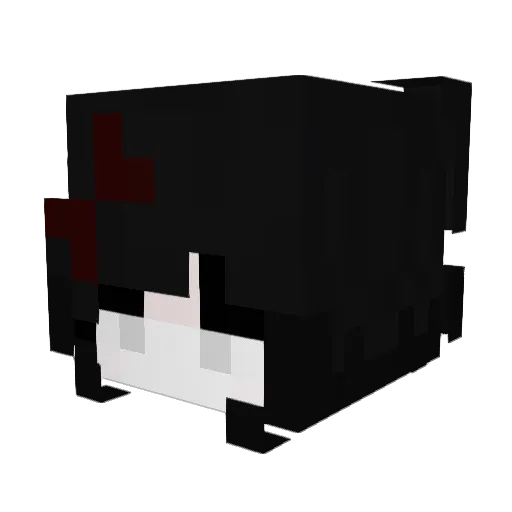_vampp Minecraft avatar head, 3D render