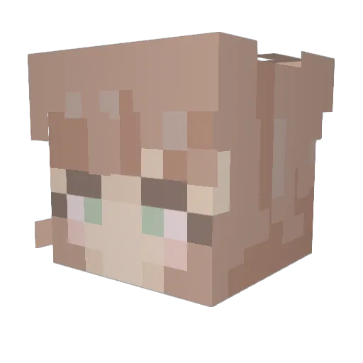 _vex__ Minecraft avatar head, 3D render