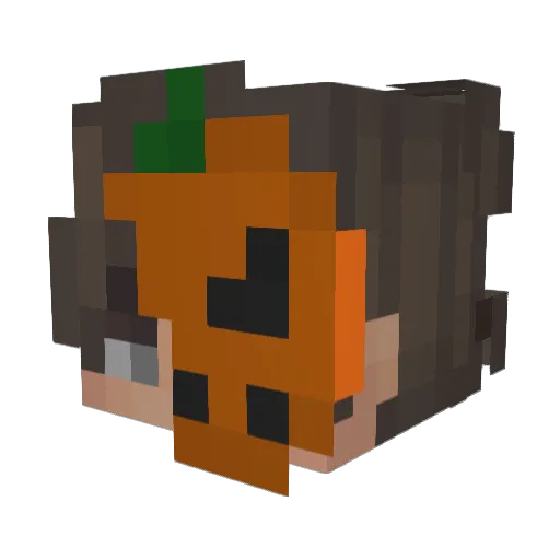 _vexos_ Minecraft avatar head, 3D render