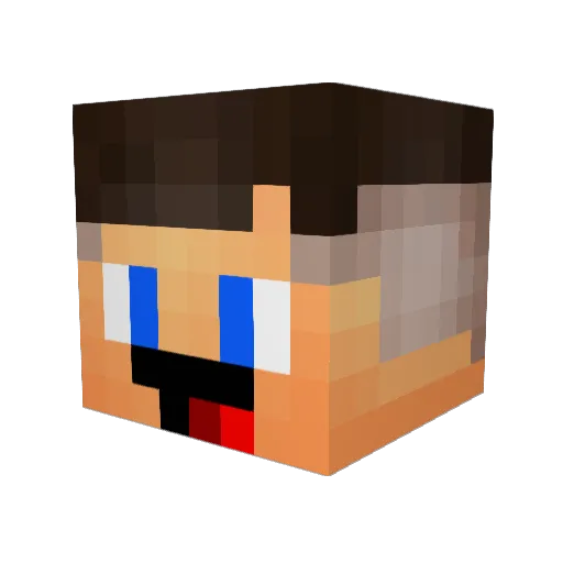 _vgcvitor_ Minecraft avatar head, 3D render
