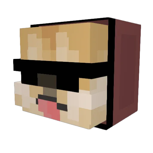 _vondrs_ Minecraft avatar head, 3D render